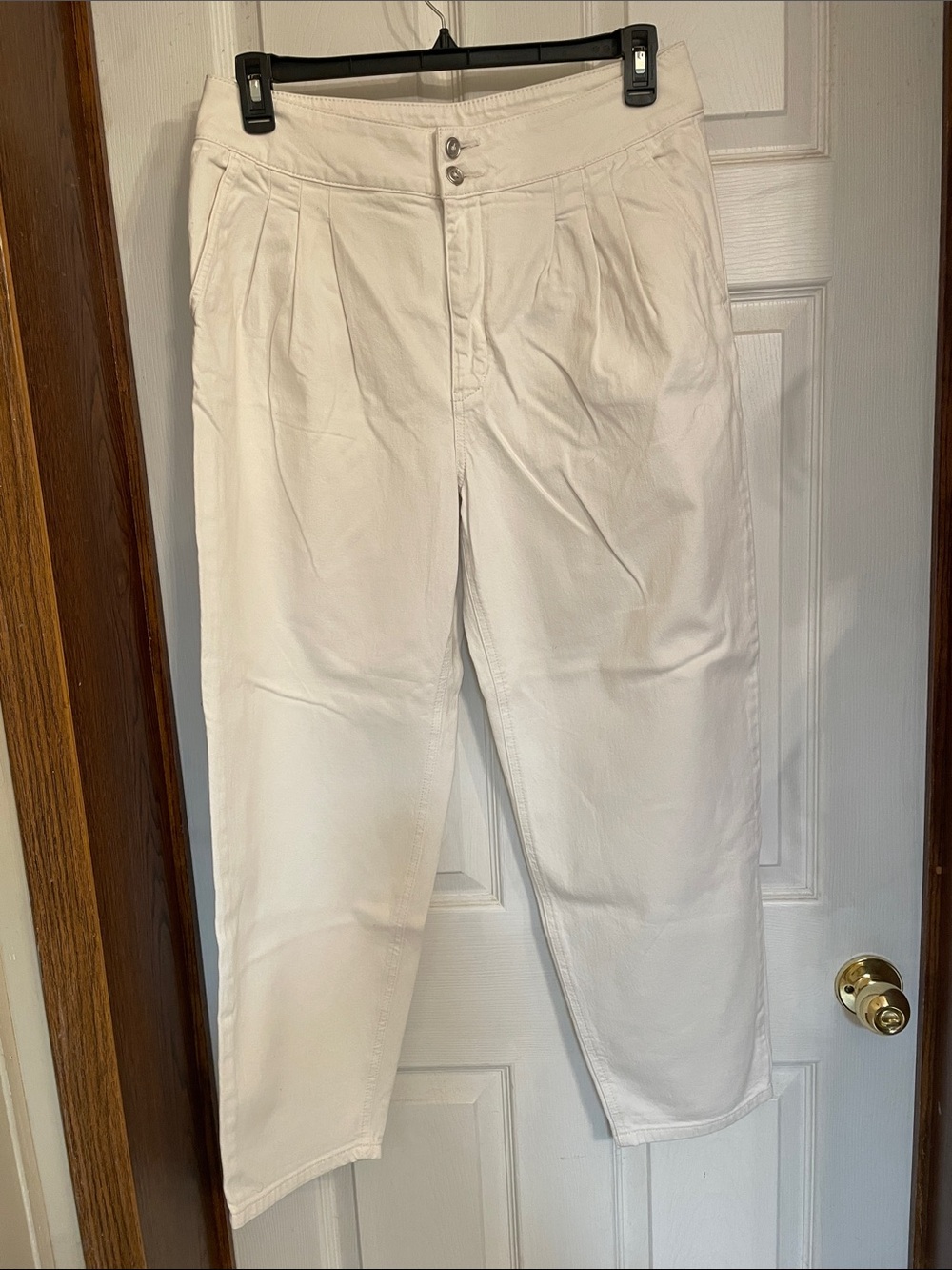 Anthropologie White Pleated Chino Pants ( bag2)